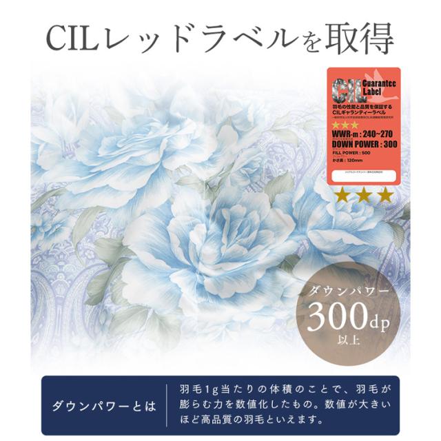 布団 シングル ダウン 肌掛け 日本製 アイリスプラザ ダウンケット 【代引不可】 軽い 軽量 吸湿 放湿 保湿 羽毛肌掛け布団 WDD85％ 200g シングル 全6色 ダウンケット 羽毛 ホワイトダックダウン ピーチスキン 抗菌 防臭 洗濯 オールシーズン 【TD】_12