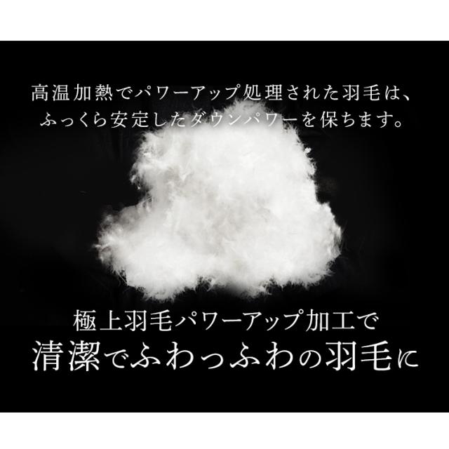 布団 シングル ダウン 肌掛け 日本製 アイリスプラザ ダウンケット 【代引不可】 軽い 軽量 吸湿 放湿 保湿 羽毛肌掛け布団 WDD85％ 200g シングル 全6色 ダウンケット 羽毛 ホワイトダックダウン ピーチスキン 抗菌 防臭 洗濯 オールシーズン 【TD】_14