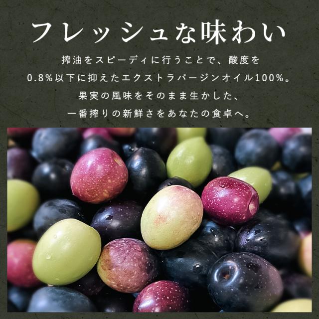 【6本】食品 調味料 油 トルコ産エクストラバージンオリーブオイル750ml サカイトレーディング エキストラバージンオリーブオイル トルコ産エキストラバージンオリーブオイル パン オレイン酸 ビタミンE 健康志向 サラダ 魚料理 食用オリーブ油 食用油 送料無料 オリーブオイル