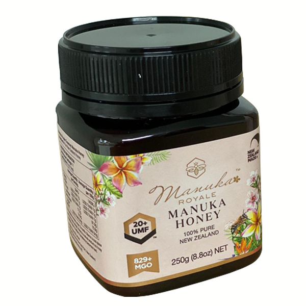 FUEGUÍA キャンドル リモージュ磁器入りキャンドル イチジクの木の下で過ごす真夏の