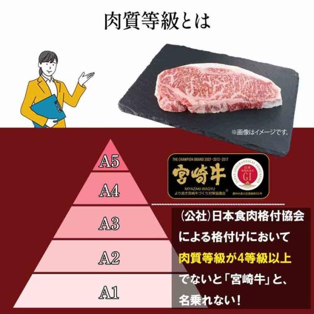 パンフレット s-l400.jpg