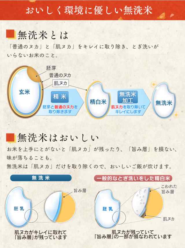 新米】【令和4年産】米 10kg 無洗米 新米 お米 低温製法米 ひとめぼれ 宮城県産 ひとめぼれ 10kg(5kg×2袋) 精米 一等米  一等米100%使の通販はau PAY マーケット - 食福堂 au PAY マーケット店