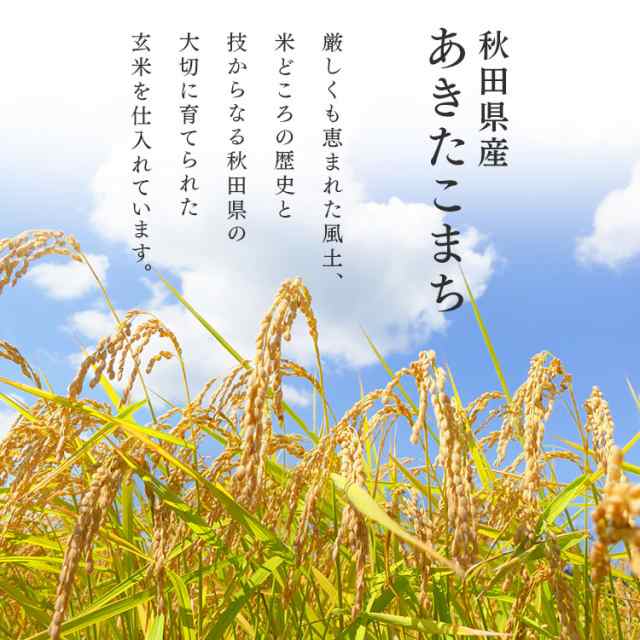 新米】【令和4年産】米 10kg 無洗米 低温製法米 あきたこまち 秋田県産 あきたこまち 10kg(5kg×2袋) お米 精米 一等米  一等米100%使用の通販はau PAY マーケット - 食福堂 au PAY マーケット店