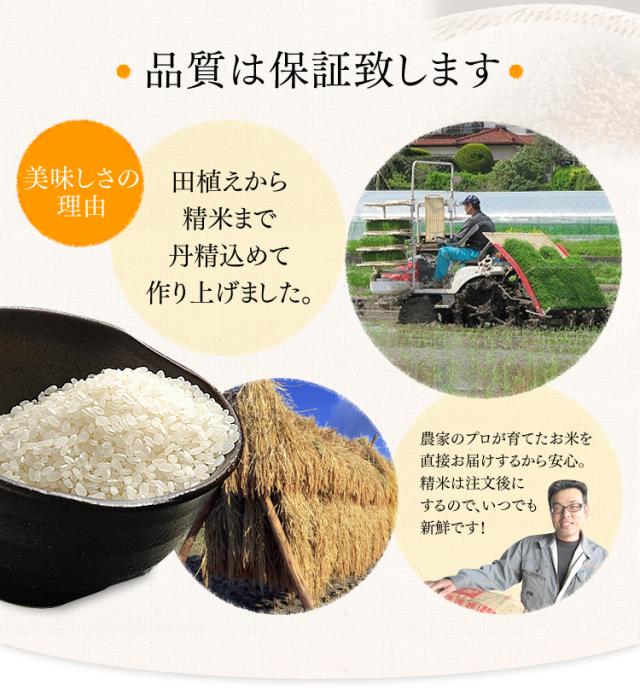 米 20kg (5kg×4袋) お米 精米 令和7年産 宮城県産 ササニシキ 一等米 宮城県産ササニシキ20㎏（精米・玄米）