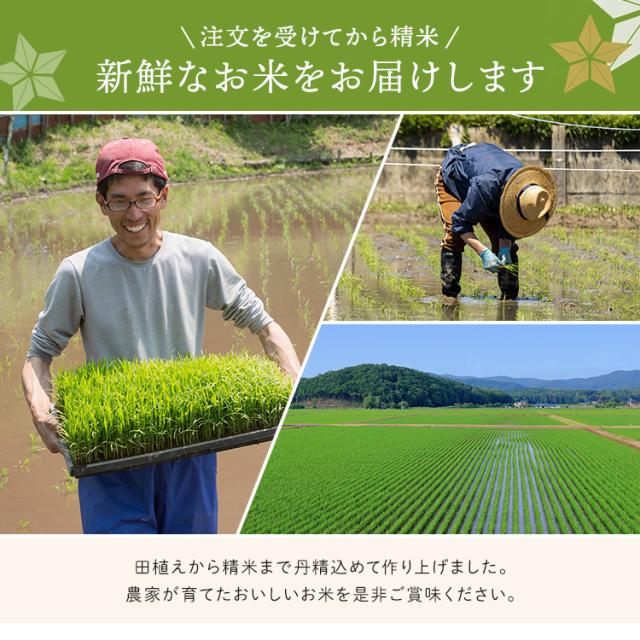 【令和6年産】ササニシキ 30kg　宮城県産ササニシキ 30kg（5kg×6袋） ささにしき 一等米 宮城県産 送料無料 安い 白米 米 ごはん みやぎ うるち米 精白米 30キロ 宮城白米 30キロ お米 ご飯 ささにしき メーカー直送品_3