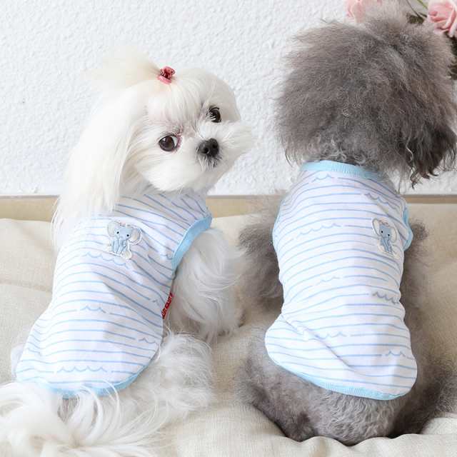 ドッグウェア 犬服 猫服 春夏 子犬 超小型犬 小型犬服 ボーダー柄 空色 コットン ゾウさん ワッペン ロンパース かわいい 室内着 パジャの通販はau Pay マーケット 小型犬のためのお店 Seasonz