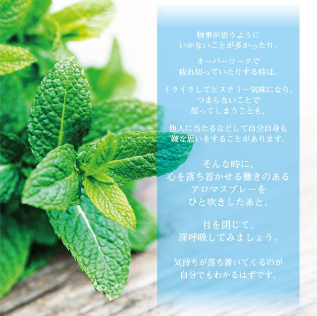 Botanical Lab アロマ スプレー エアーフレッシュナー 虫除け アレルギー エアーフレッシュ ３本 セット シトロネラ ユーカリー 30ml 3の通販はau Pay マーケット ネイルフリークス