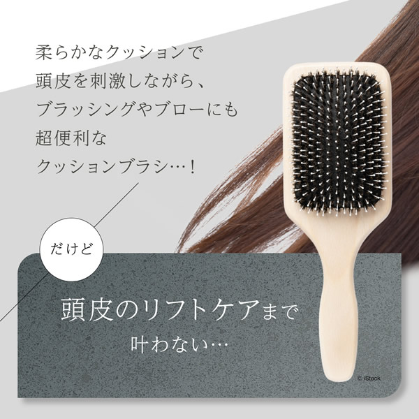 【おまけ付き】WAVEWAVE EMS ブラシエアー (送料無料) ブラッシュエアー クッションブラシ EMS ヘアブラシ 光エステ クシ くし ブラッシング 頭皮ケア マッサージ 静電気 Brush air マイクロカレント 赤色LED マイナスイオン_2