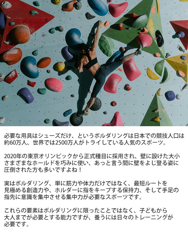ボルダリング知略ゲーム Boulderball ボルダーボール (送料無料) ボルダリング クライミング トレーニング 知育 パズル 集中力 バランス感覚 創造力 集中力 思考力 指先 筋力 握力 子供 大人 知略ゲーム 暇つぶし ゲーム_3