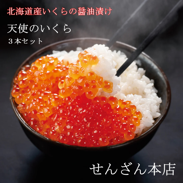 山下清、【桜にハチ】、希少な額装用画集より、美品、日本人画家、新品