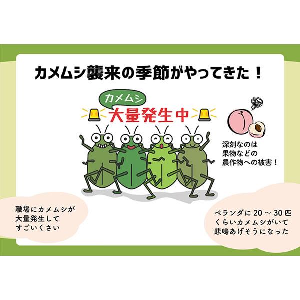 カメムシ 御免! (メール便送料無料) カメムシ 忌避剤 カメムシ対策 