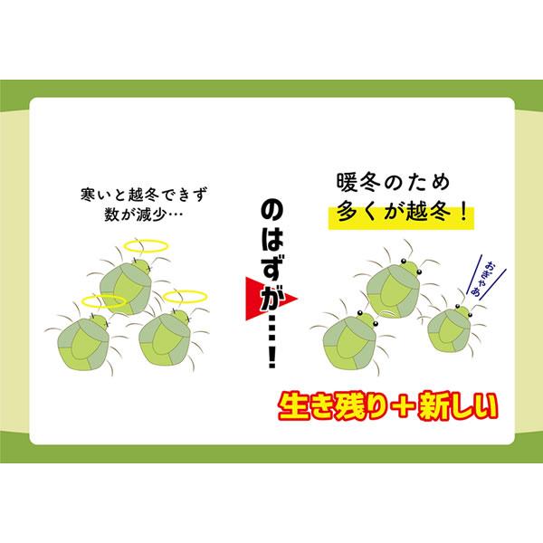 カメムシ 御免! (メール便送料無料) カメムシ 忌避剤 カメムシ対策 