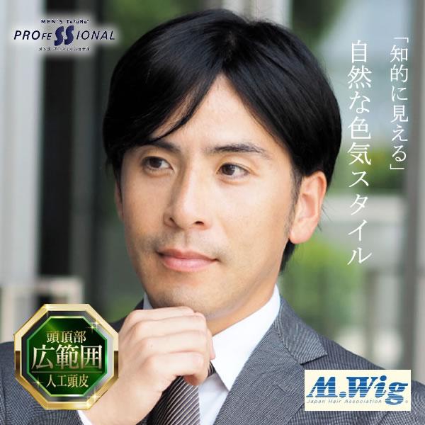 TefuRe 男性用ウィッグ スタイリッシュショート [DS-PTMEN-003] (全国一律送料無料) ウィッグ フルウィッグ ウイッグ かつら 白髪隠し ボリュームアップ 薄毛対策 つけ毛 男性用 人毛 全頭かつら フリーサイズ 伸縮性 清潔感 簡単 脱毛 薄毛 抜け毛 自然 増毛 育毛 ビジネス