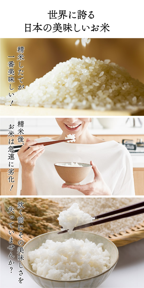 OFFクーポン】【正規販売店／メーカー直送】ライスフリッジ モダン