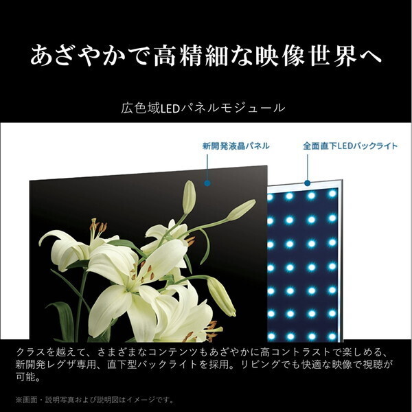 液晶テレビ 75型 75インチ 4K チューナー内蔵 レグザ TVS REGZA 地上・BS・110度CSデジタル LED液晶テレビ 75M550M_8