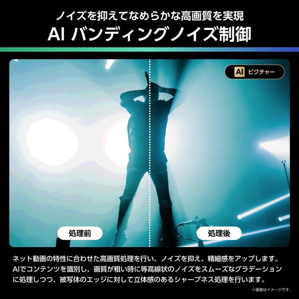 43U6R Hisense [43V型 地上・BS・110度CSデジタル 4K内蔵 液晶テレビ]_13