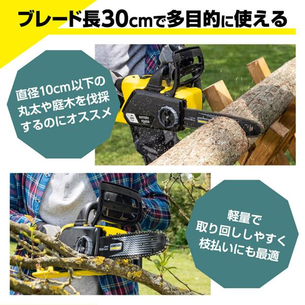KARCHER(ケルヒャー) 3.137-223.0 充電式チェンソー CNS 18-30 バッテリーセット_1
