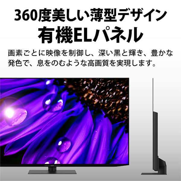 液晶テレビ 55型 55インチ 4Kチューナー内蔵 有機EL AQUOS アクオス SHARP シャープ テレビ本体 メーカー保証 4T-C55EQ1  BS・CSの通販はau PAY マーケット - PREMOA au PAY マーケット店 | au PAY マーケット－通販サイト