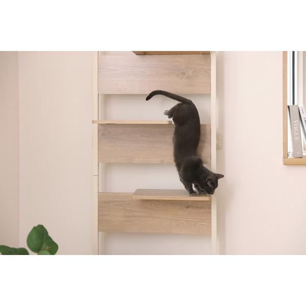 【美品】アイリスオーヤマ 突っ張り型キャットステップ ライトナチュラル 楽天市場】キャットタワー 突っ張り 木製 キャットステップ