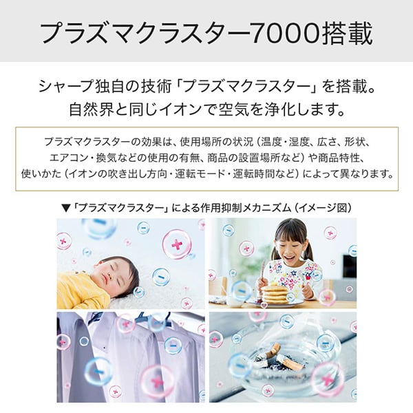 ガスファンヒーター 都市ガス リンナイ ホース別 Rinnai ホワイト Wiz