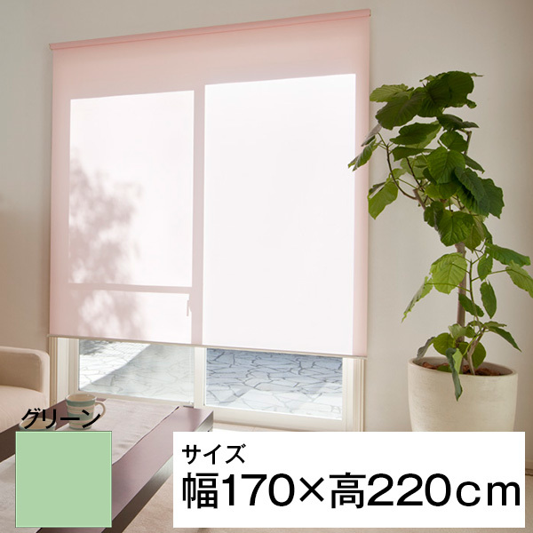 立川機工 ティオリオ ロールスクリーン 無地 170×220 グリーンの通販は