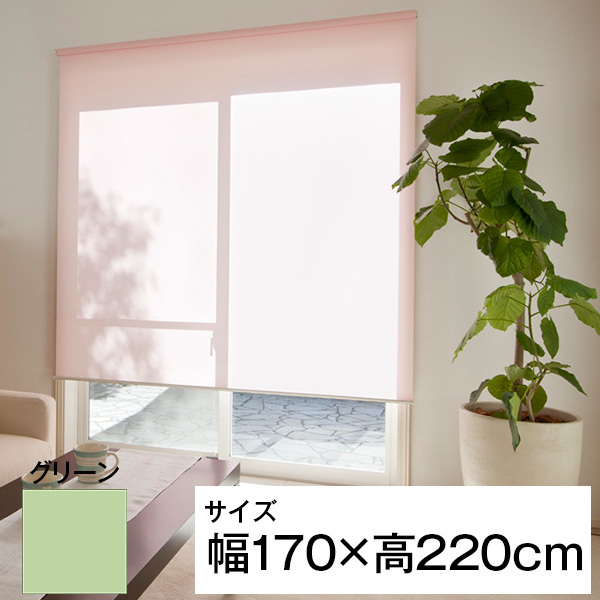 立川機工 ティオリオ ロールスクリーン 遮光2級防炎 170×220 グリーンの通販は