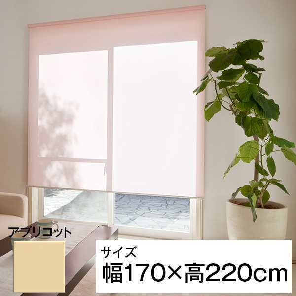 立川機工 ティオリオ ロールスクリーン 無地防炎 170×220 アプリコットの通販は