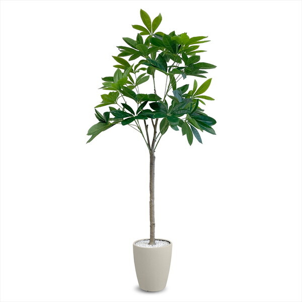 浜端ヨウヘイ ROUGH SKETCH CDセット