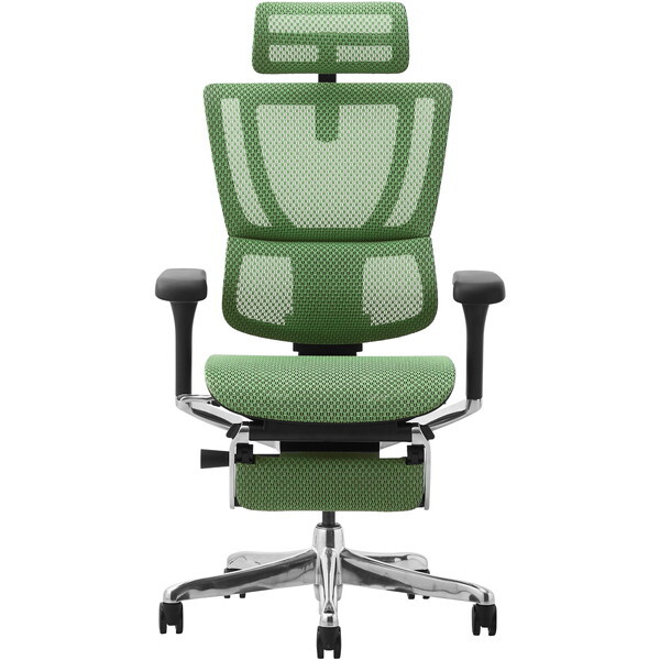 459647 Ergohuman FIT2-LPL-DR-BF-GN 関家具 ブラックフレーム×グリーン [オフィスチェア] メーカー直送