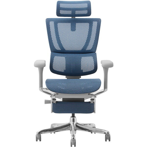 459651 Ergohuman FIT2-LPL-DR-GF-BL 関家具 グレーフレーム×ブルー [オフィスチェア] メーカー直送