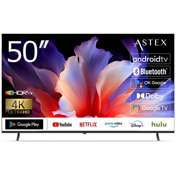 50GTN Wis [50V型 4K Googleチューナーレス 液晶テレビ] メーカー直送