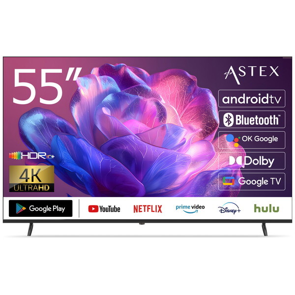 55GTN Wis [55V型 4K Googleチューナーレス 液晶テレビ] メーカー直送