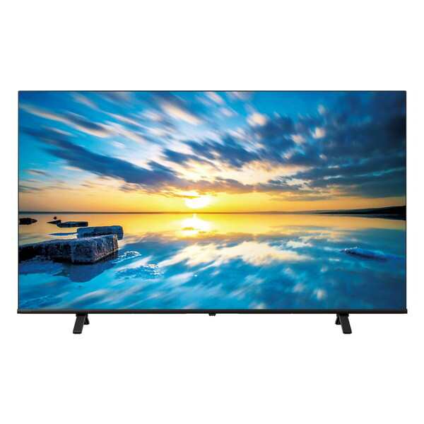 液晶テレビ 65型 65インチ 4K チューナー内蔵 レグザ TVS REGZA C350M Professional series 地上・BS・110度CSデジタル 65C350M