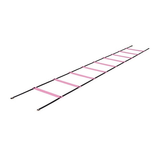 ラダー 屋内用 F 960 NT7705 ニシスポーツの通販は 9,735円