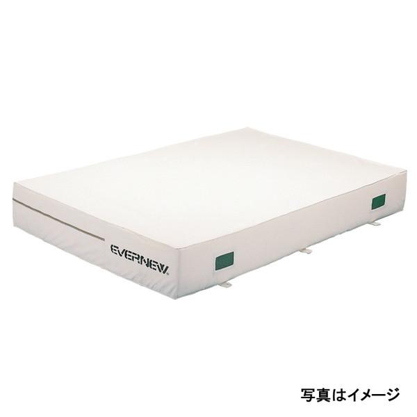 【法人限定】 EVERNEW エバニュー EGD242 抗菌屋内エバーマット滑止200×300×20 メーカー直送