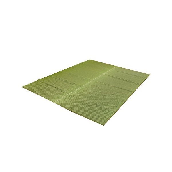イケヒコ・コーポレーション 1050890122303 純国産 い草ラグカーペット 「Fソリッド」 約140×200cm GN メーカー直送