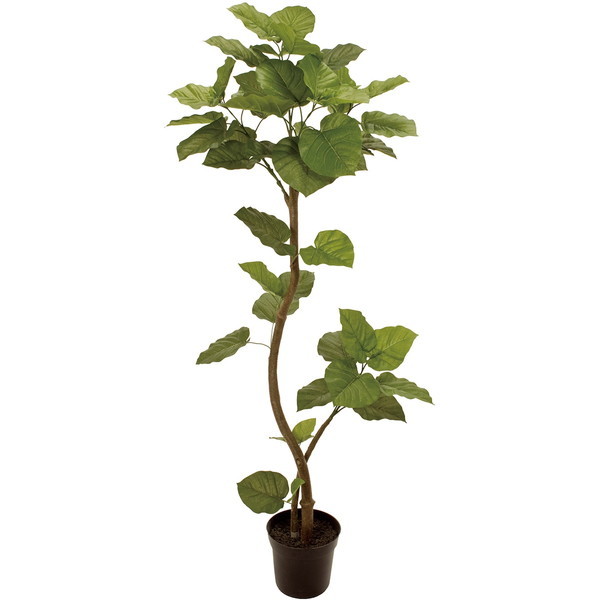 光触媒人工観葉植物ウォールグリーンフェイクグリーンウンベラータ