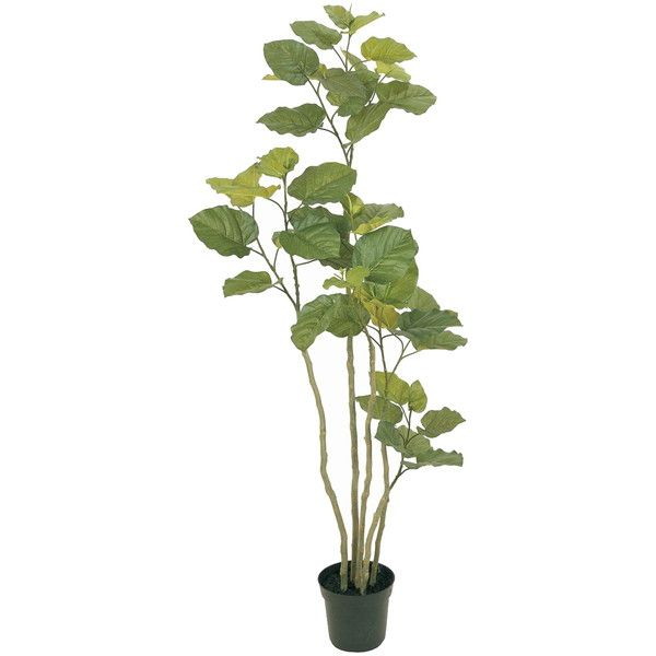 東京堂 FG005227 造花 ウンベラータ ６Ｆの通販は 20,902円