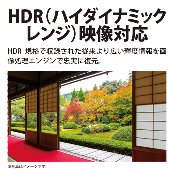 液晶テレビ 65型 65インチ 4Kダブルチューナー内蔵 アクオス シャープ AQUOS SHARP メーカー保証 4T-C65CH1 CH1シリーズ_5