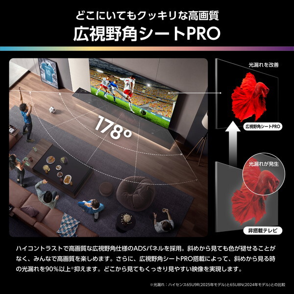 65U9R Hisense [65V型 地上・BS・110度CSデジタル 4Kチューナー内蔵 4K対応 液晶テレビ]_6