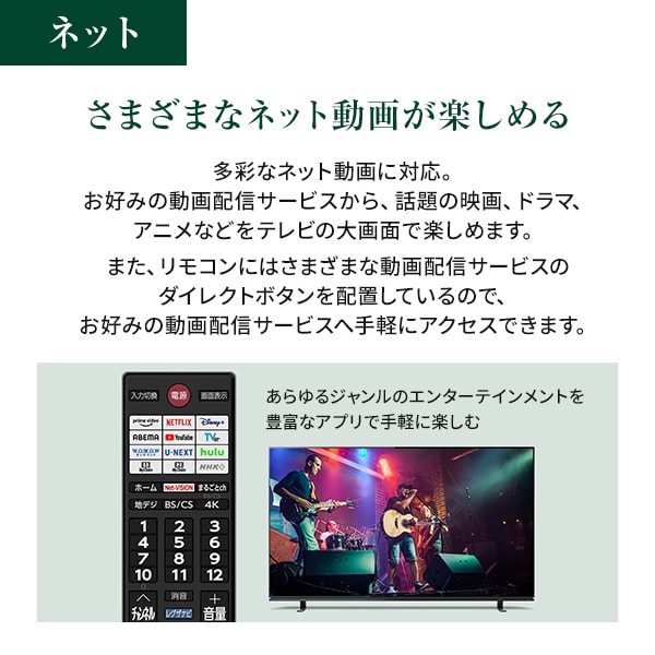 液晶テレビ 65型 65インチ 4K内蔵 東芝 レグザ REGZA 地上・BS・110度CSデジタル LED液晶テレビ 65Z870M_6