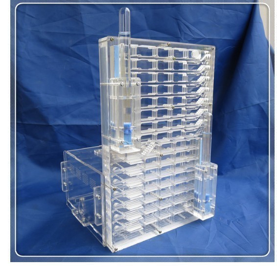 夏休みの自由研究に 大きなアリの巣観察キット アクリル製の大きなアリさんハウス アリ 蟻の通販はau Pay マーケット オータムネットショップ