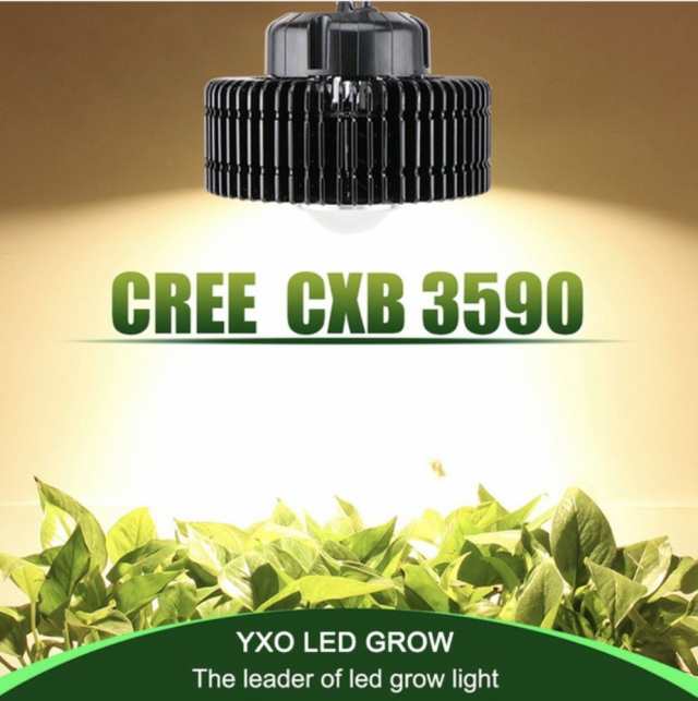 最強led Cree Cxb3590 Growライト 植物育成灯 Mh Hps 置き換えに 業務用 複数台納入可の通販はau Pay マーケット オータムネットショップ