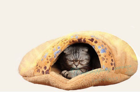 ネコのベッド布団 ハンバーガーどら焼きスタイル リアル集猫め猫大満足の通販はau Pay マーケット オータムネットショップ