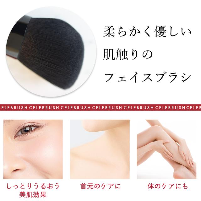 セット】テラココヘアー & セレブラシ（TERACOCOHAIR & CELEBRUSH）櫛