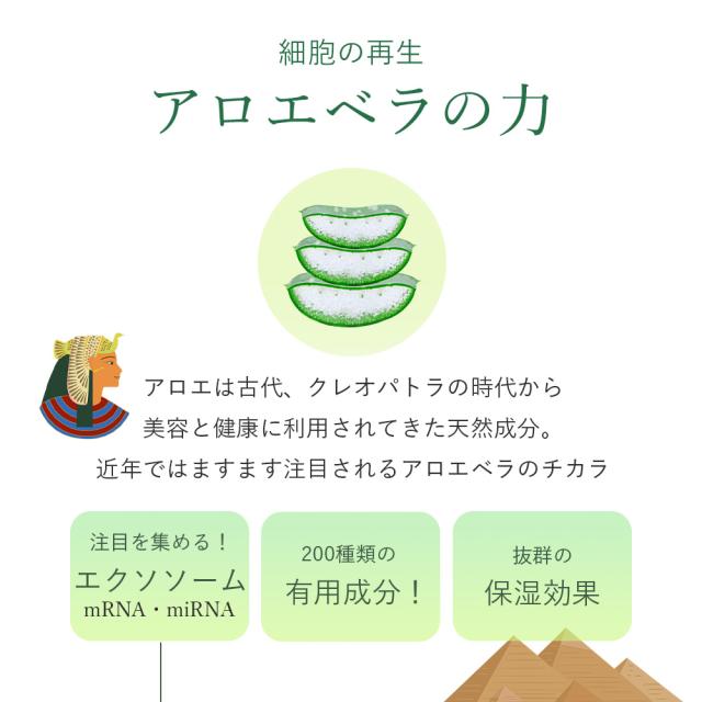 ドクター・リアライズ アロエ美容液ジェル 150gの通販はau PAY