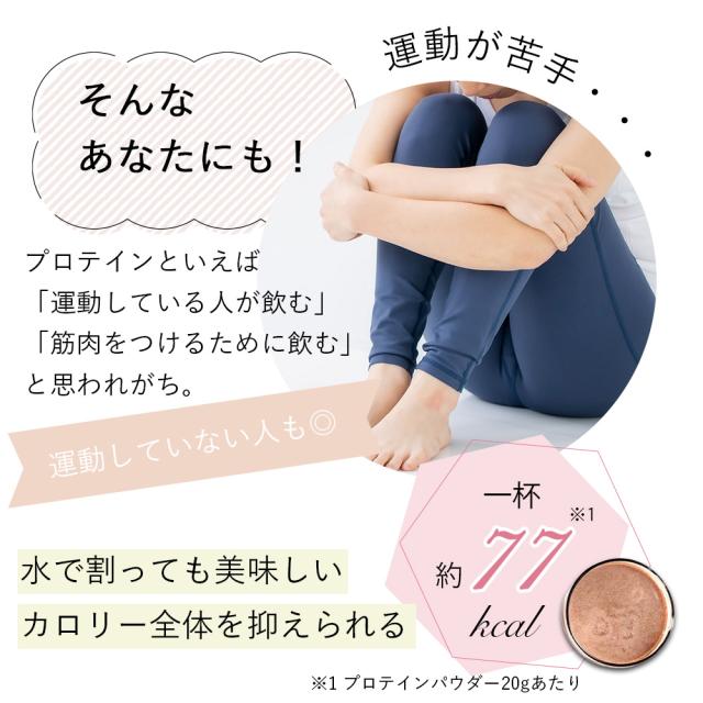 【 12個セット 】ウィズソイ ウーマンズプロテイン 500g チョコレート味（シェイカー・スプーン付き） WITH SOY Woman’s Protein 美容成分入り ソイプロテイン 大豆 女性ホルモン植物性エストロゲン ビタミン 鉄分 飲みやすい ODEKO オデコ