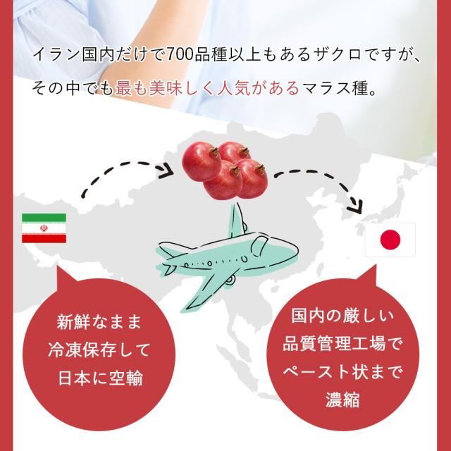 【3個セット】ヴァレデローズ プレミアムザクロペースト 200g  最高級ザクロ使用 イラン マラス 低温圧搾 国内加工 長寿遺伝子へのサポート ペースト状で濃厚ザクロを堪能 エラグ酸 ウロリチン ポリフェノール配合 内側からケア 美容 健康  ez-es エズエズ えずえず_9