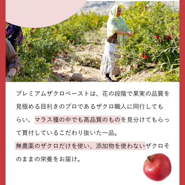 【3個セット】ヴァレデローズ プレミアムザクロペースト 200g  最高級ザクロ使用 イラン マラス 低温圧搾 国内加工 長寿遺伝子へのサポート ペースト状で濃厚ザクロを堪能 エラグ酸 ウロリチン ポリフェノール配合 内側からケア 美容 健康  ez-es エズエズ えずえず_13