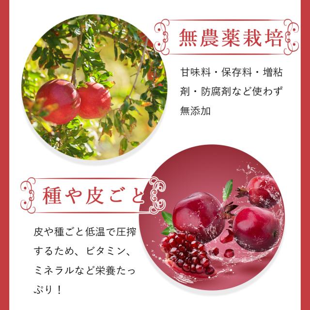 【3個セット】ヴァレデローズ プレミアムザクロペースト 200g  最高級ザクロ使用 イラン マラス 低温圧搾 国内加工 長寿遺伝子へのサポート ペースト状で濃厚ザクロを堪能 エラグ酸 ウロリチン ポリフェノール配合 内側からケア 美容 健康  ez-es エズエズ えずえず_3